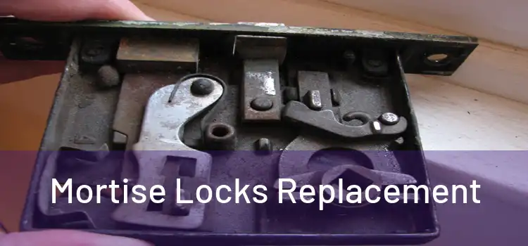  Mortise Locks Replacement 