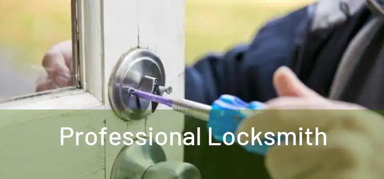  Professional Locksmith 